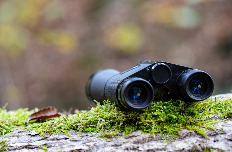 Cardboard Tube Binoculars